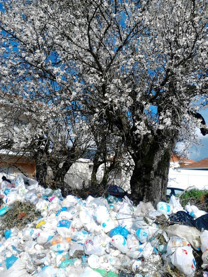 11045017 871237749607551 2164757092699127181 n