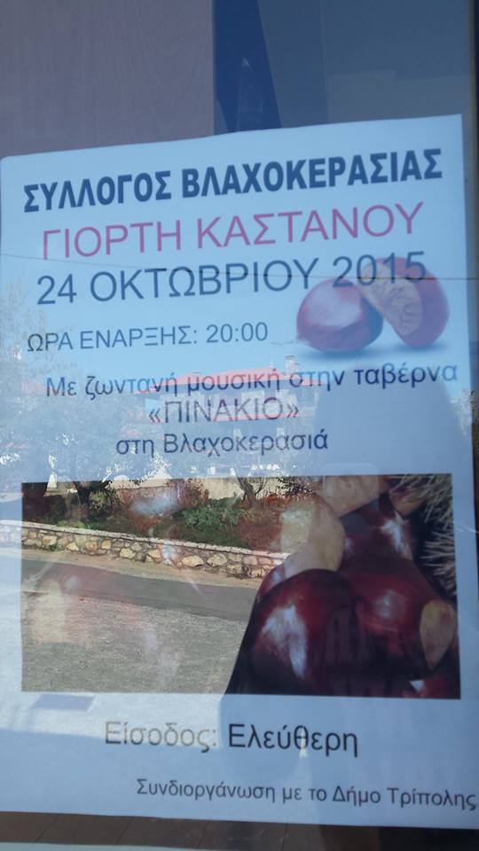 12166939 817725691678688 1740617211 n