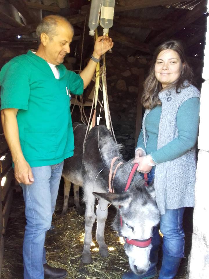 12717814 1136000256413056 5273222552747195541 n