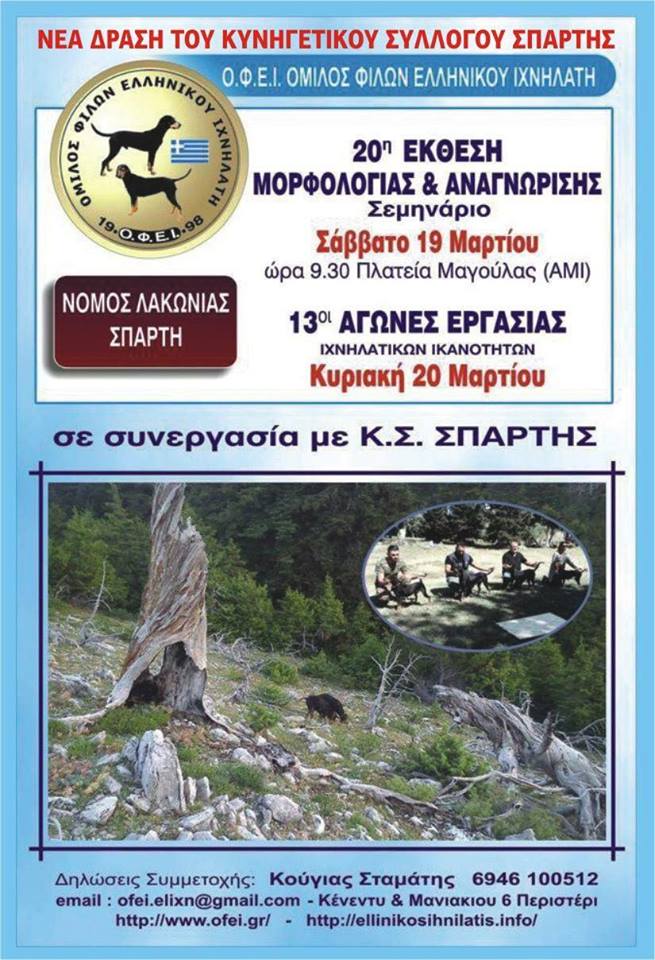 drasi kynhgetikos 2016