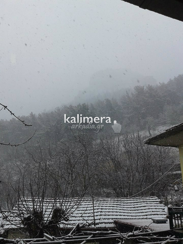 10962254 444227719064595 80306488 n