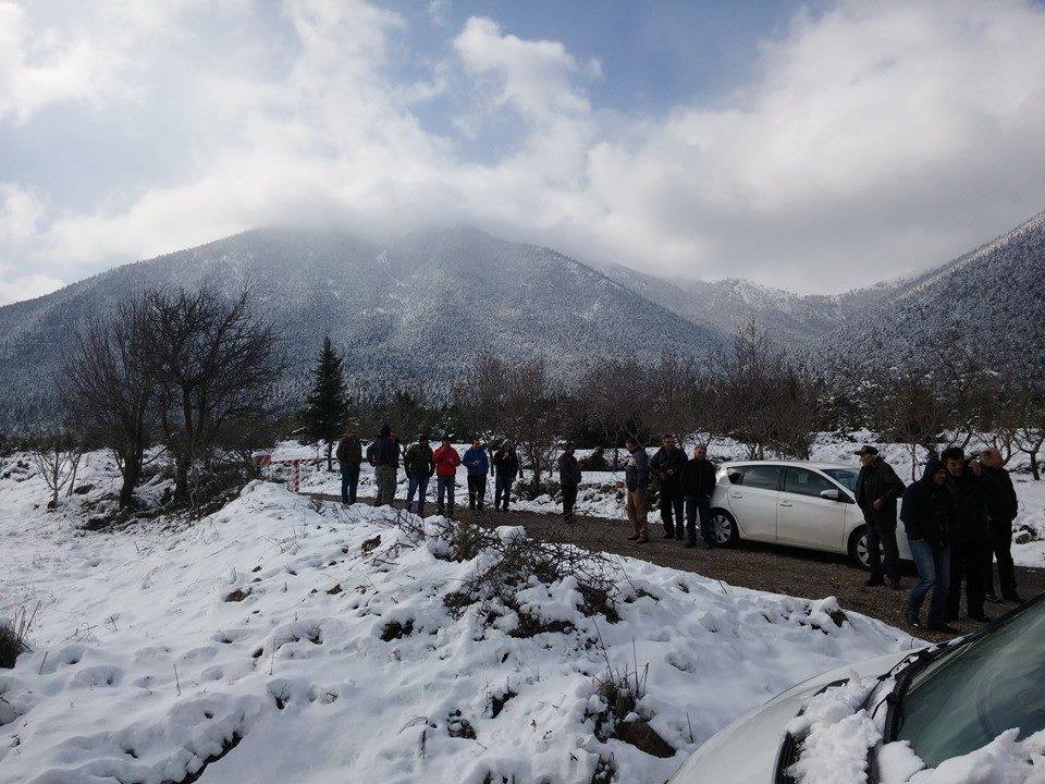 1978839 1543193072605435 4383694832045832193 n