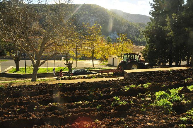 Δεντροφύτευση και δημιουργία κήπου στο Δημοτικό Σχολείο Νεστάνης (εικόνες)!