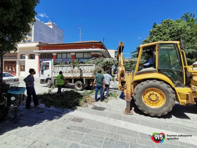 Πτώση δέντρου στο κέντρο της Τρίπολης - Άμεση επέμβαση από Δήμο και Πυροσβεστική (vd)