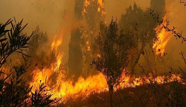 Τέθηκε υπό έλεγχο η πυρκαγιά στο Ελληνικό Άστρους (vd)