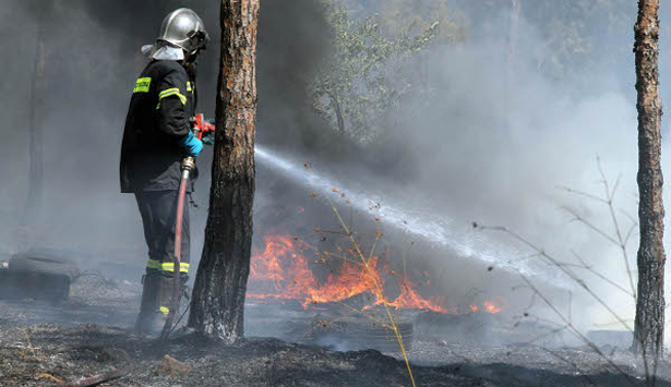 Υπό μερικό έλεγχο η φωτιά στη Φτέρη Μηλιάς – Έσβησε φωτιά στην οδό «Καλαμών»