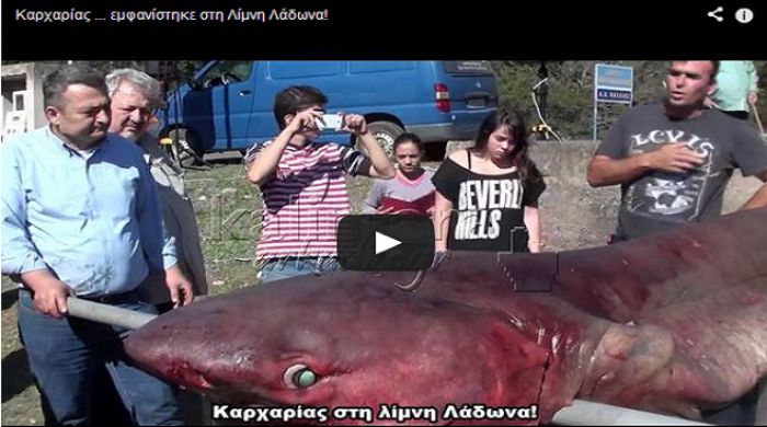 Όλη η Ελλάδα έμαθε τη λίμνη Λάδωνα από το βίντεο του «Καλημέρα Αρκαδία» με τον καρχαρία!