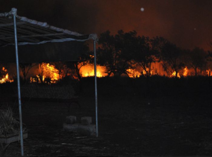 Τι έκαψαν οι χθεσινές πυρκαγιές στην Κυνουρία (εικόνες)