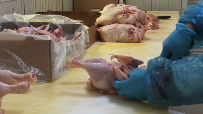 Νωπά κοτόπουλα θα διανεμηθούν σε άπορους της Γορτυνίας