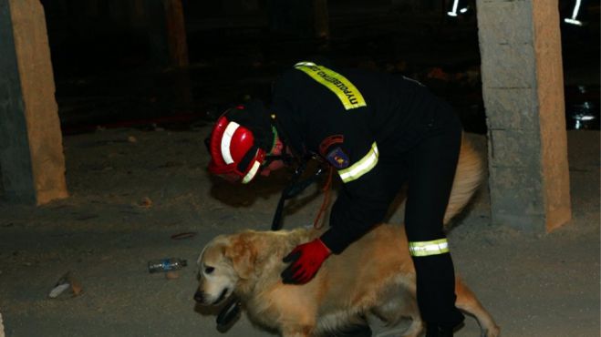 Μεσσηνία | Ο σκύλος της ΕΜΑΚ εντόπισε ζωντανό τον 68χρονο που αγνοούταν στη Χρυσοκελλαριά