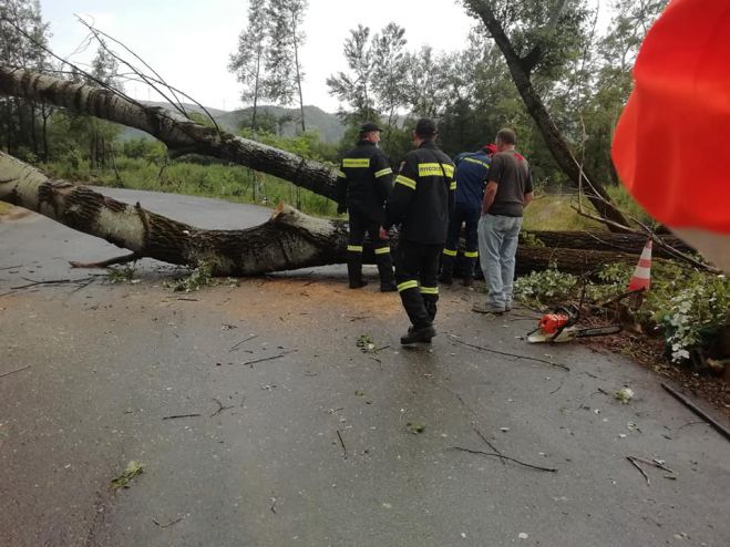 Κακοκαιρία | Δένδρα έκλεισαν δρόμο στην Τεγέα! (εικόνες)