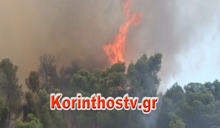 Μεγάλη φωτιά στην Κορινθία – Κινητοποιήθηκαν ισχυρές δυνάμεις της Πυροσβεστικής (vd)