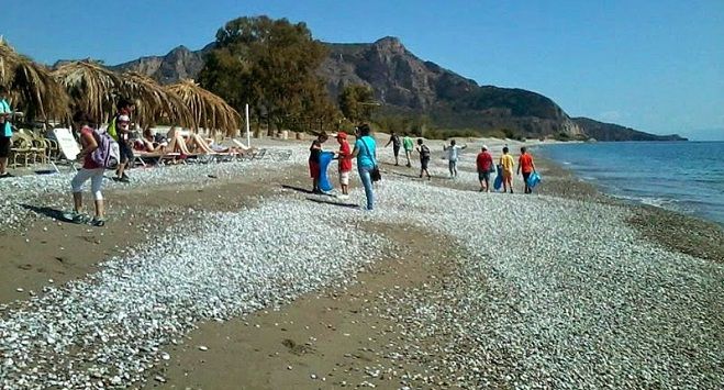 Εθελοντικός καθαρισμός στην παραλία της Πλάκας Λεωνιδίου (εικόνες)