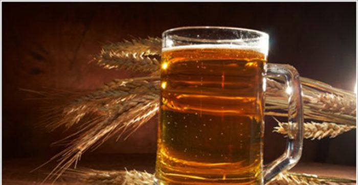 Πρόγραμμα συμβολαιακής καλλιέργειας κριθαριού για παραγωγή μπύρας στην Αρκαδία!