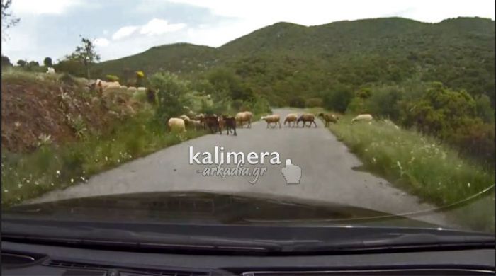 Νέο βίντεο με διαδρομή για τη Γορτυνία - Από το ιστορικό χωριό Παλούμπα, στο Ψάρι και στο Ράφτη!