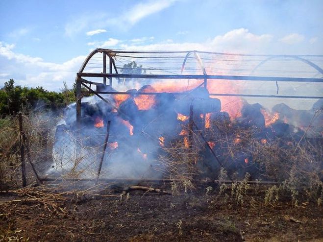 Πυρκαγιές σε αγροτικές εκτάσεις και σε διαμέρισμα στο Ναύπλιο