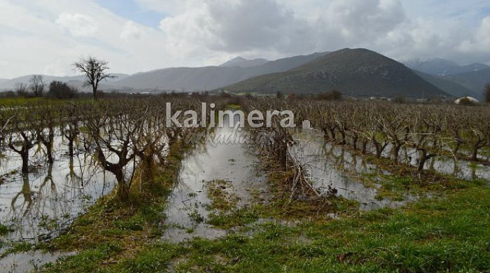 «Πνίγηκαν» στο νερό αμπέλια και καλλιέργειες στον κάμπο της Μηλιάς (vd)!