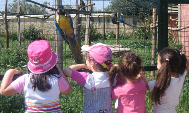 Γονείς, παιδιά και παιδαγωγοί από παιδικούς σταθμούς του Δήμου Τρίπολης στο Αττικό Ζωολογικό Πάρκο (εικόνες)
