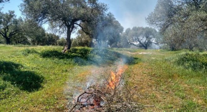 Πυρκαγιές κατά την καύση φυτικής ύλης και υπολειμμάτων καλλιεργειών | Αυστηρές οδηγίες από την Πυροσβεστική!