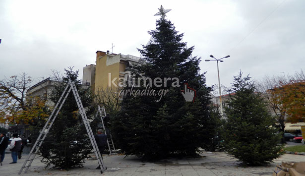 Φορείς και σχολεία στολίζουν Χριστουγεννιάτικα δένδρα στην Τρίπολη