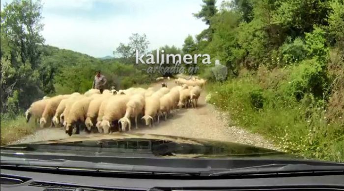 Νέες διαδρομές της Γορτυνίας μέσα από βίντεο του Χρήστου Κιντή (vd)