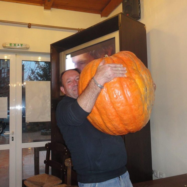 14955893 885095358292627 6441805879175181956 n 1