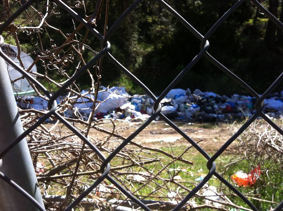 18033828 1353907537981518 5857303051086050782 n