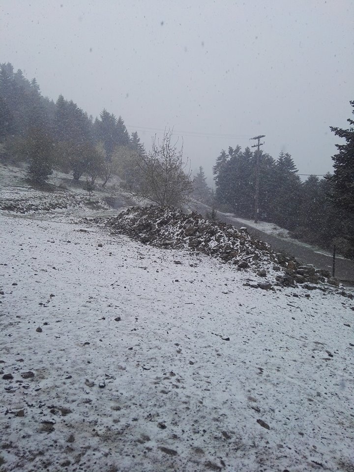 18058189 738297963010082 3463298592210350916 n