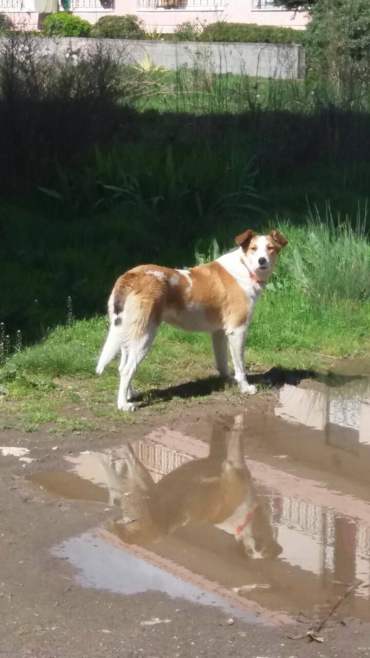 29386866 1267452073387636 8043085925510545408 o