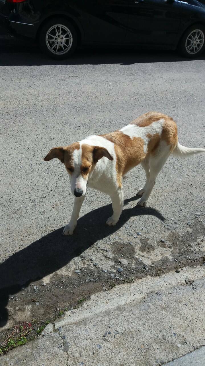 29389199 1267452163387627 1429794849061601280 o