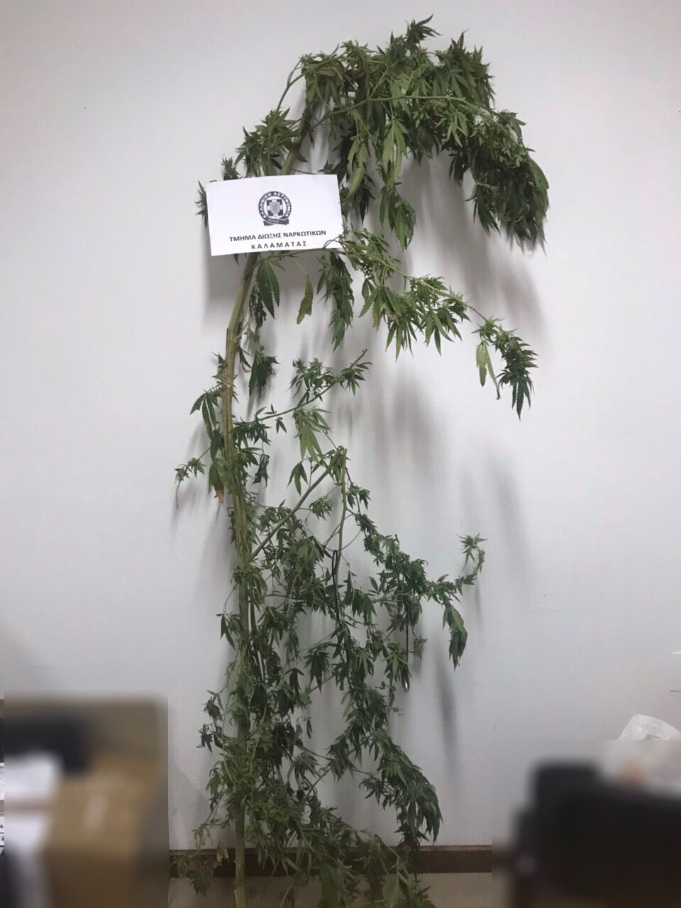 19 1 2019 messinia eksartrosh narkwtika 2