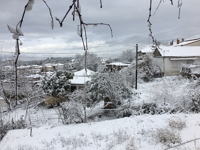 kallianixioni2019