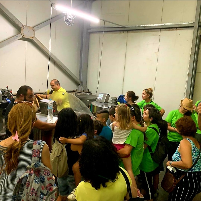 104775095 2679888192115049 1125897383102585382 n