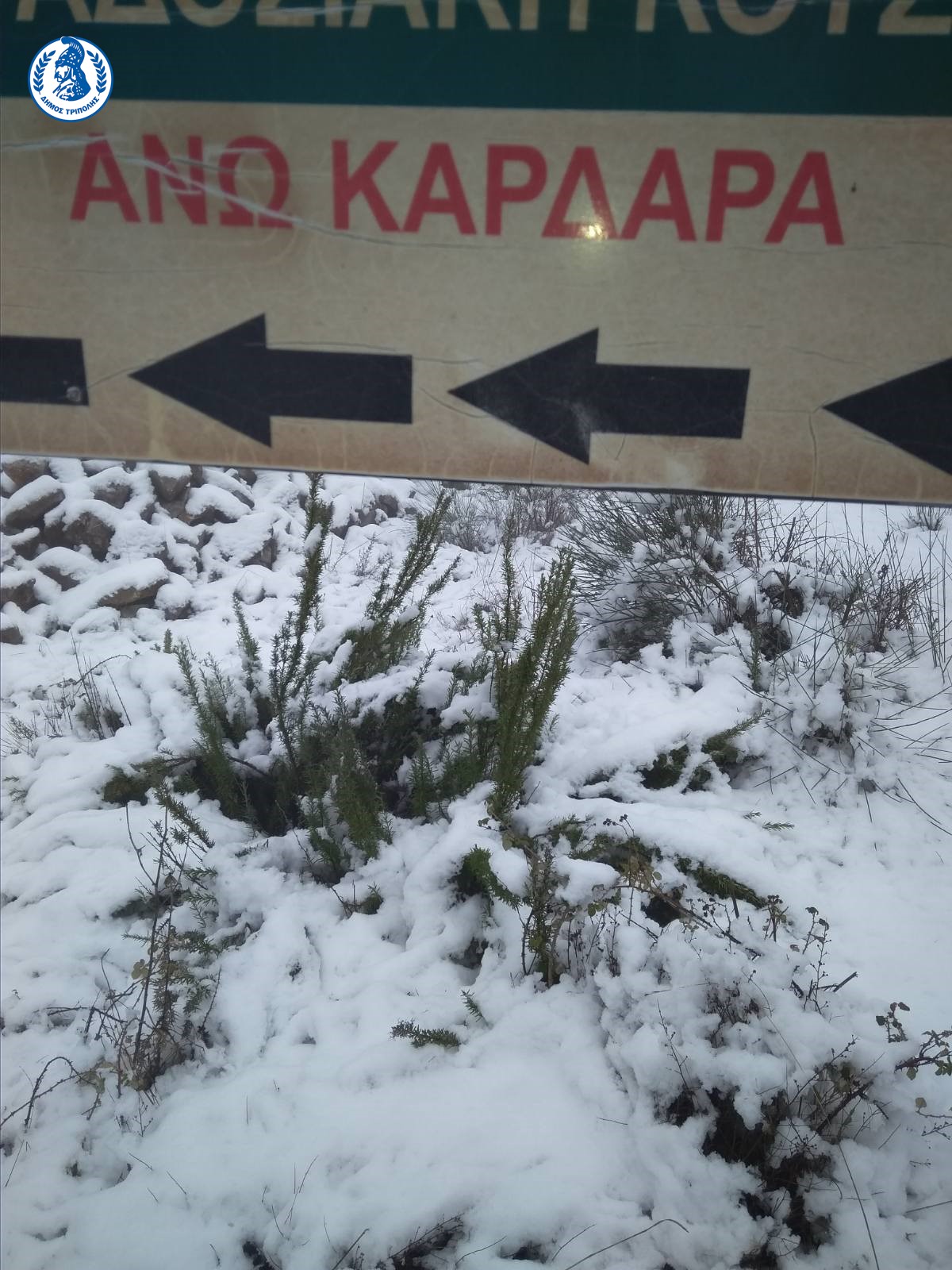 oikonomopoulos2021 1