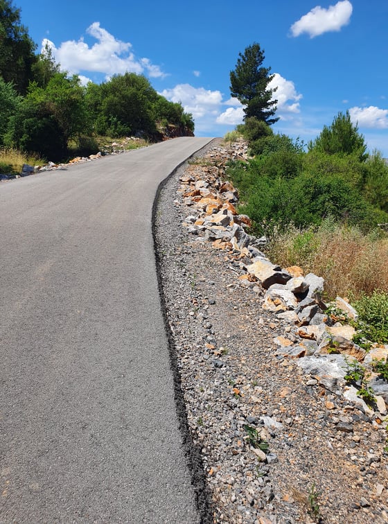 202724624 514809672904405 2271671628766188567 n