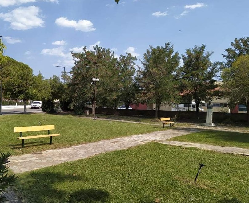 224430758 858919585045796 6097539989737974682 n