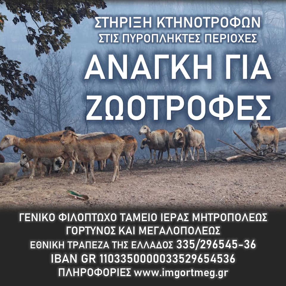 236435707 2598859976926856 7185730124127556427 n 1