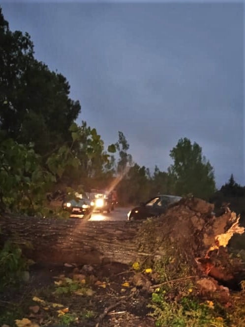 245314395 5013594808654688 7093216373302837452 n