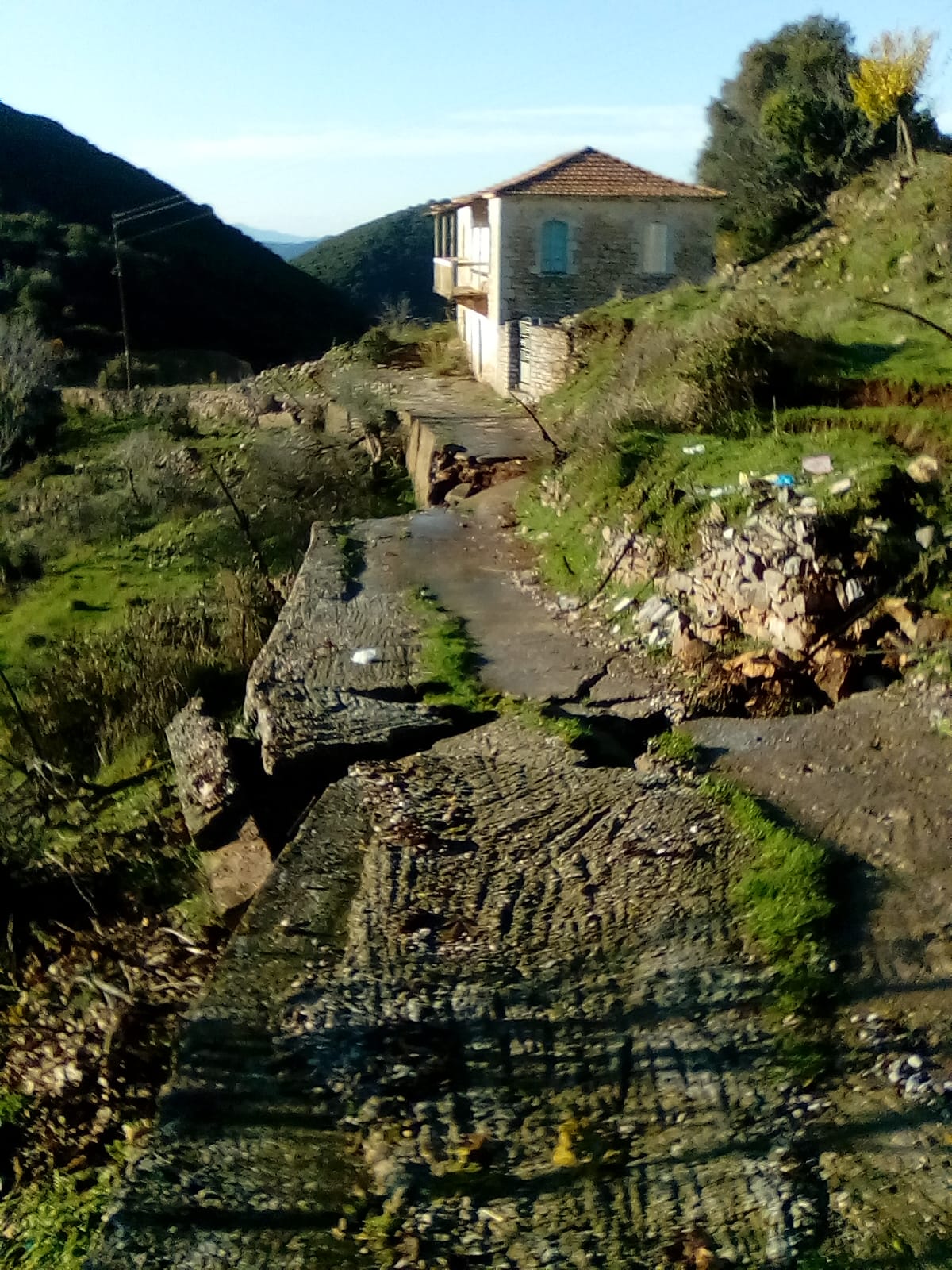 266001575 1267944370385310 7713192038491705064 n