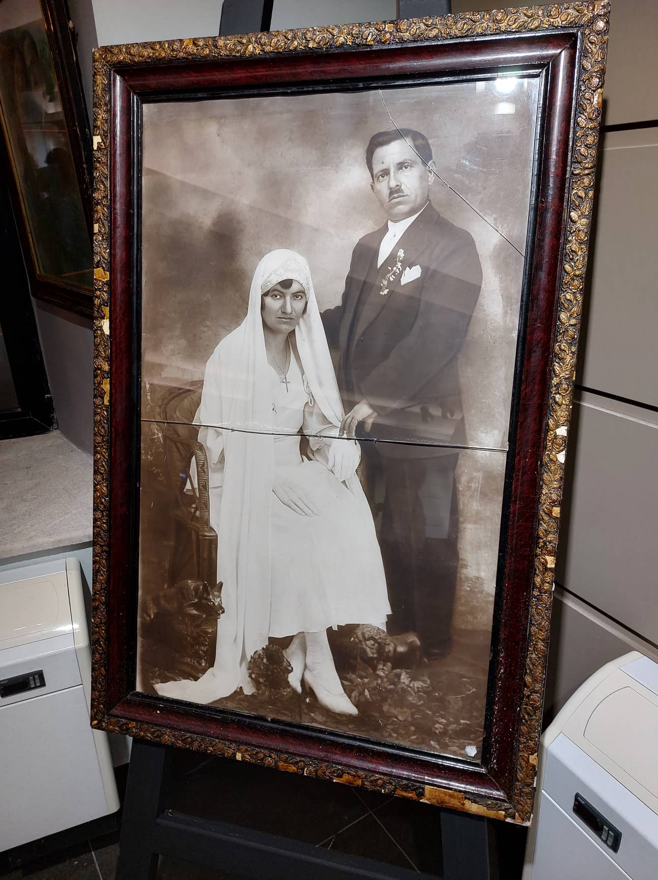 285147857 784855606008189 5763405633643652573 n