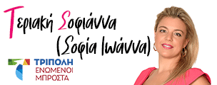 TERIAKI BANNER KALIMERA 304X120