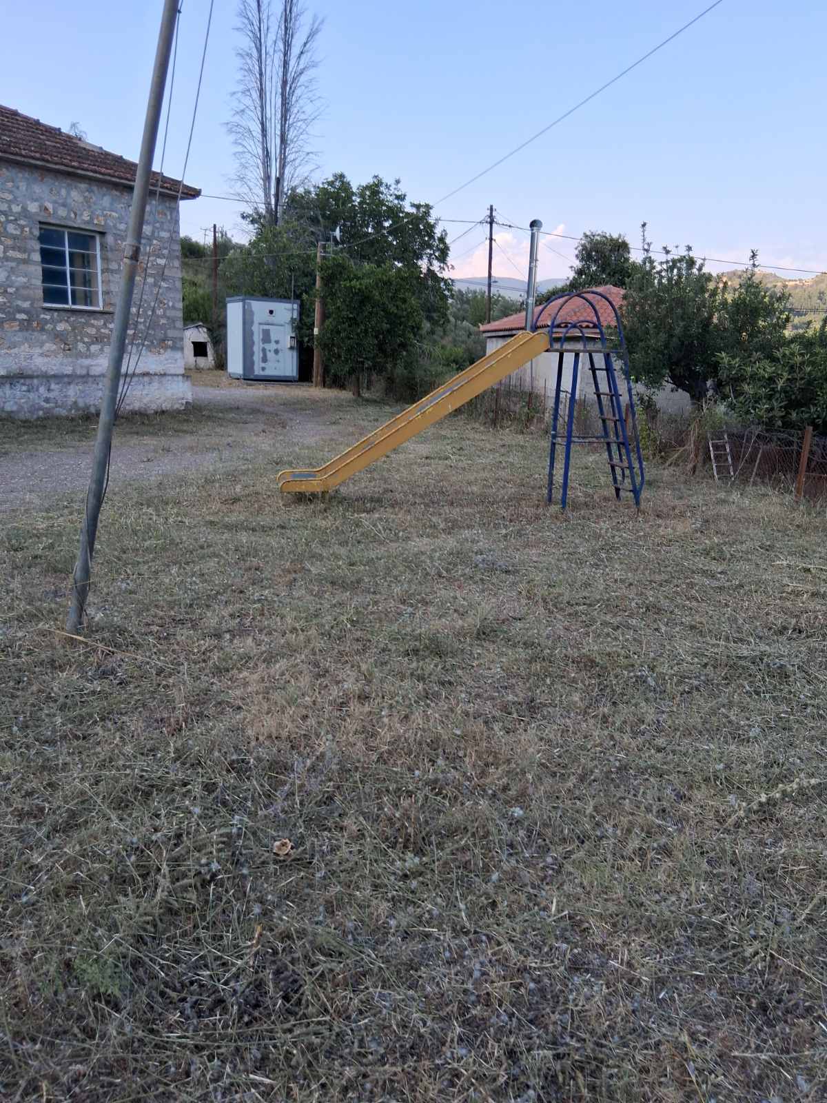 neadafni 1