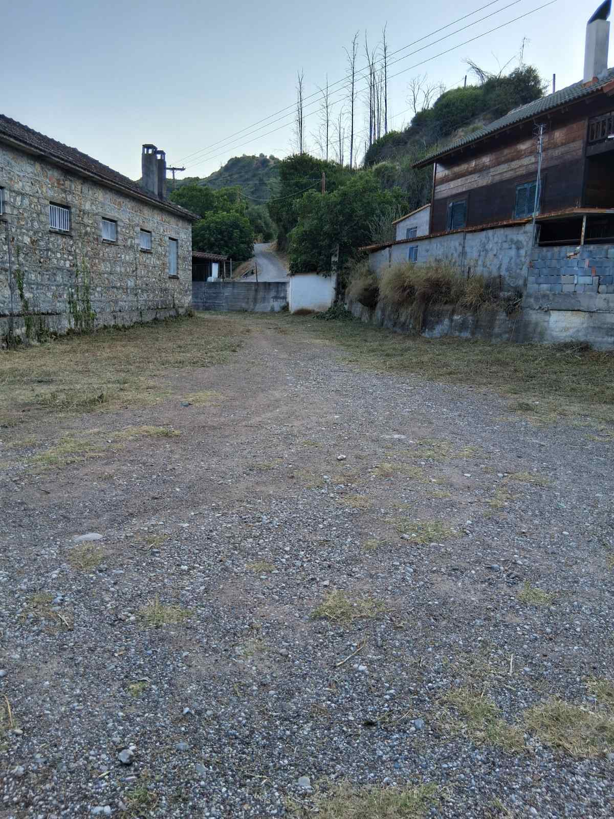 neadafni 3