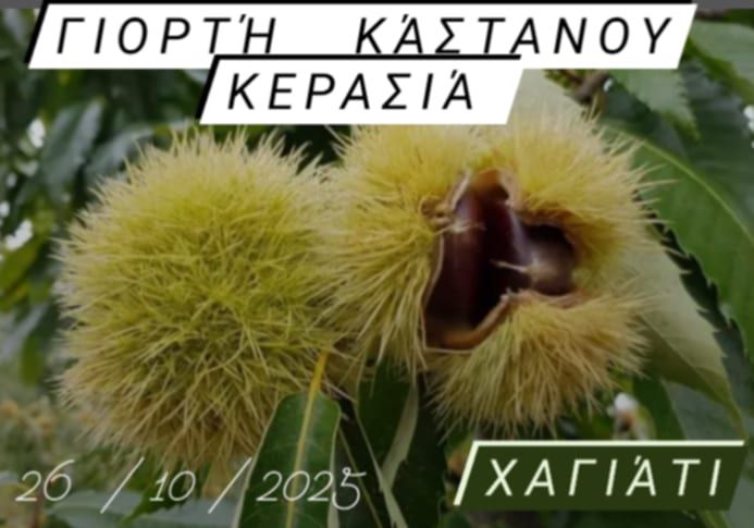 571170720 10163665856662148 5310107737709093666 n