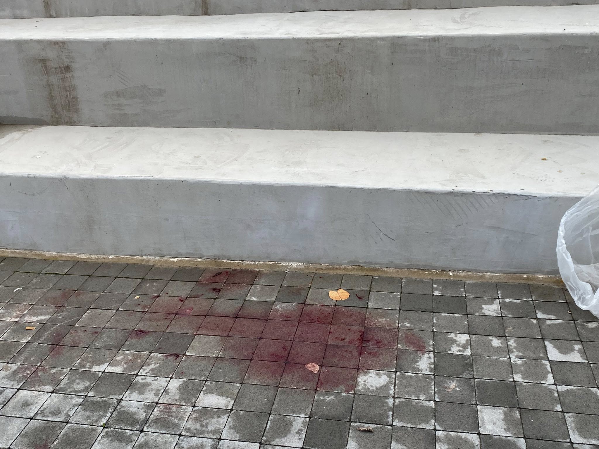 574349145 1354026902739319 4236325404430976251 n