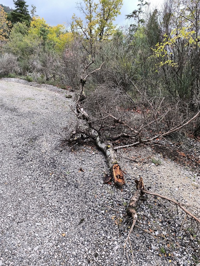 589788847 10235840324380717 6705245538660197923 n