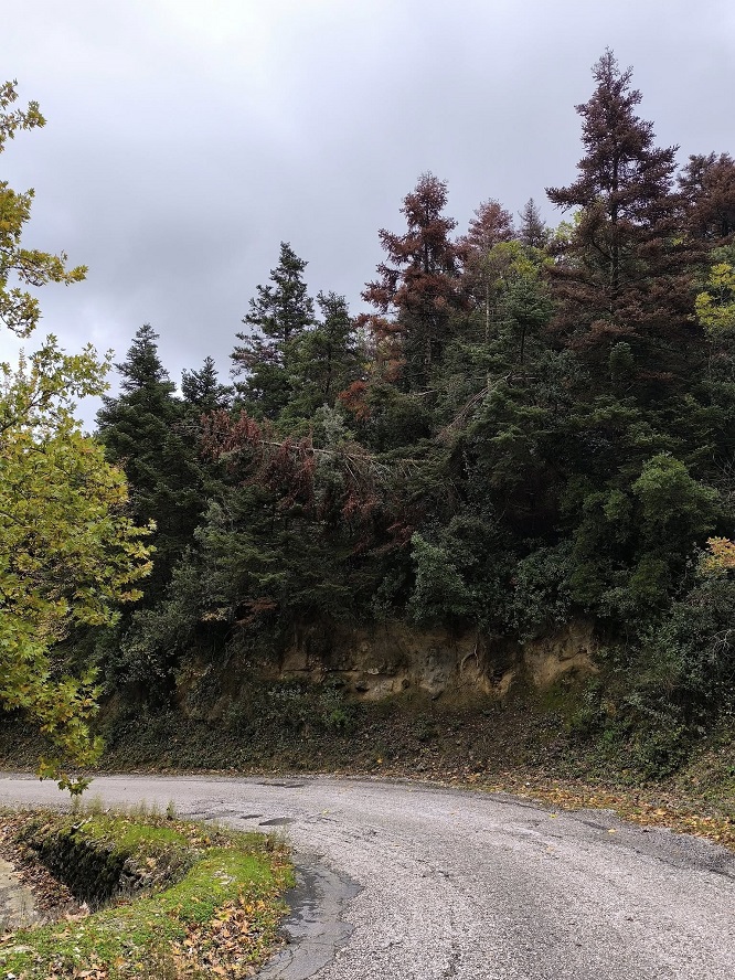 590425801 10235840323380692 7594049414186474691 n