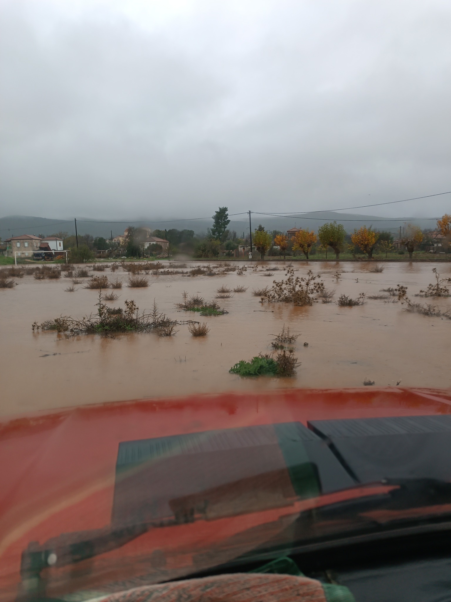 595298788 10233586706949735 2547787011526269844 n