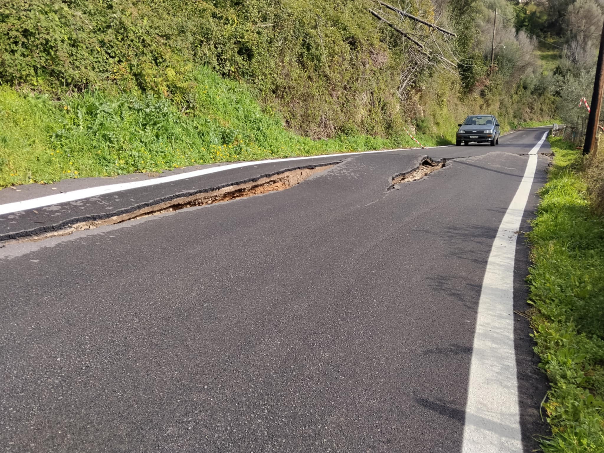 d0808e39 f393 4836 ba81 84b25ea1f0ce