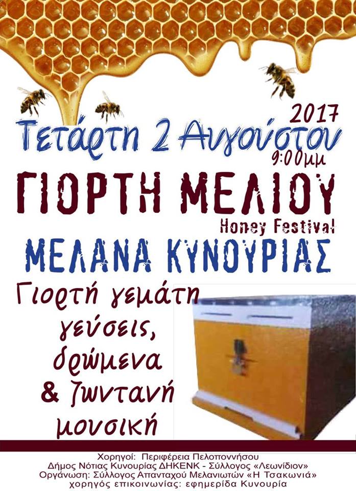 20376018 1909440542650392 6548017809758410058 n